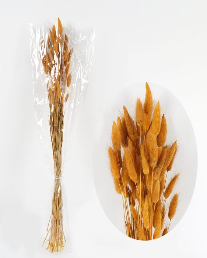 Dried Flowers 11*78cm nature plants bundle GS-56619010SET-Y1 Bouquet YeahFlower is one of Chinese leading OEM manufacturers and exporters , supplying the silk flowers, wholesale artificial trees