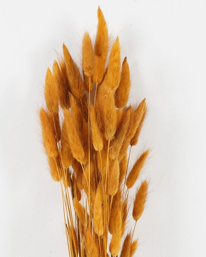 Dried Flowers 11*78cm nature plants bundle GS-56619010SET-Y1 Bouquet YeahFlower is one of Chinese leading OEM manufacturers and exporters , supplying the silk flowers, wholesale artificial trees