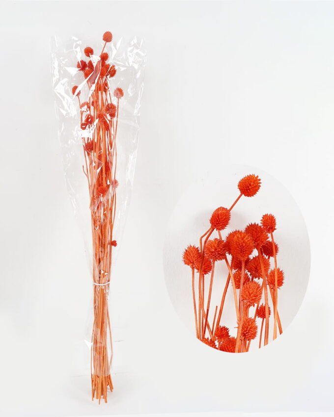 Dried Flowers 11*75cm nature plants bundle GS-56619021-O2 Bouquet YeahFlower is one of Chinese leading OEM manufacturers and exporters , supplying the silk flowers, wholesale artificial trees