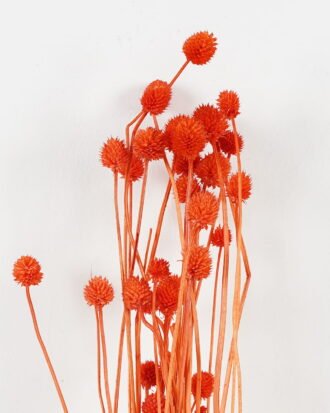 Dried Flowers 11*75cm nature plants bundle GS-56619021-O2 Bouquet YeahFlower is one of Chinese leading OEM manufacturers and exporters , supplying the silk flowers, wholesale artificial trees