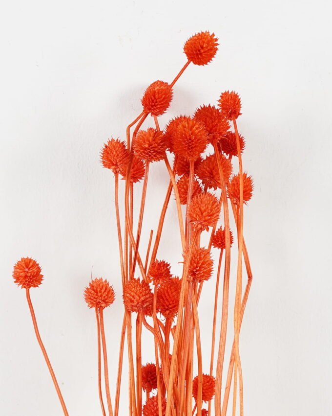 Dried Flowers 11*75cm nature plants bundle GS-56619021-O2 Bouquet YeahFlower is one of Chinese leading OEM manufacturers and exporters , supplying the silk flowers, wholesale artificial trees