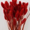 Dried Flowers 20*80cm nature plants bundle GS-56619033-R1 Bouquet YeahFlower is one of Chinese leading OEM manufacturers and exporters , supplying the silk flowers, wholesale artificial trees