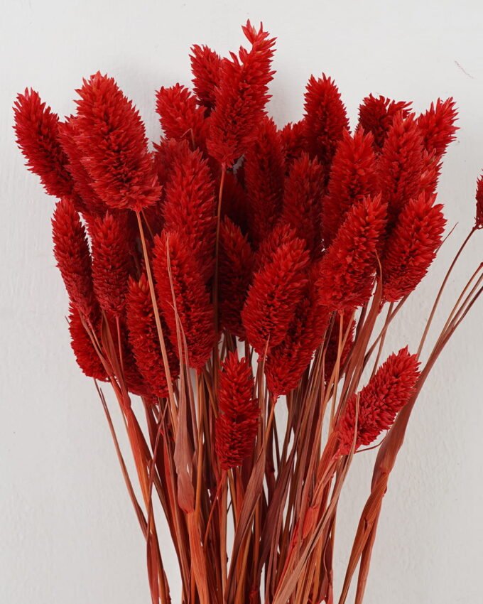 Dried Flowers 20*80cm nature plants bundle GS-56619033-R1 Bouquet YeahFlower is one of Chinese leading OEM manufacturers and exporters , supplying the silk flowers, wholesale artificial trees