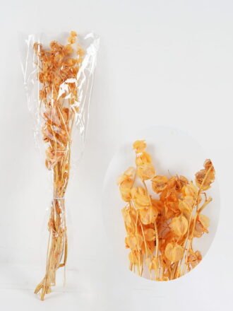 Dried Flowers 20*80cm nature plants bundle GS-56619033-R1 Bouquet 3,000+ sqm showroom with thousands of artificial flowers, plants & trees ready for global sourcing.