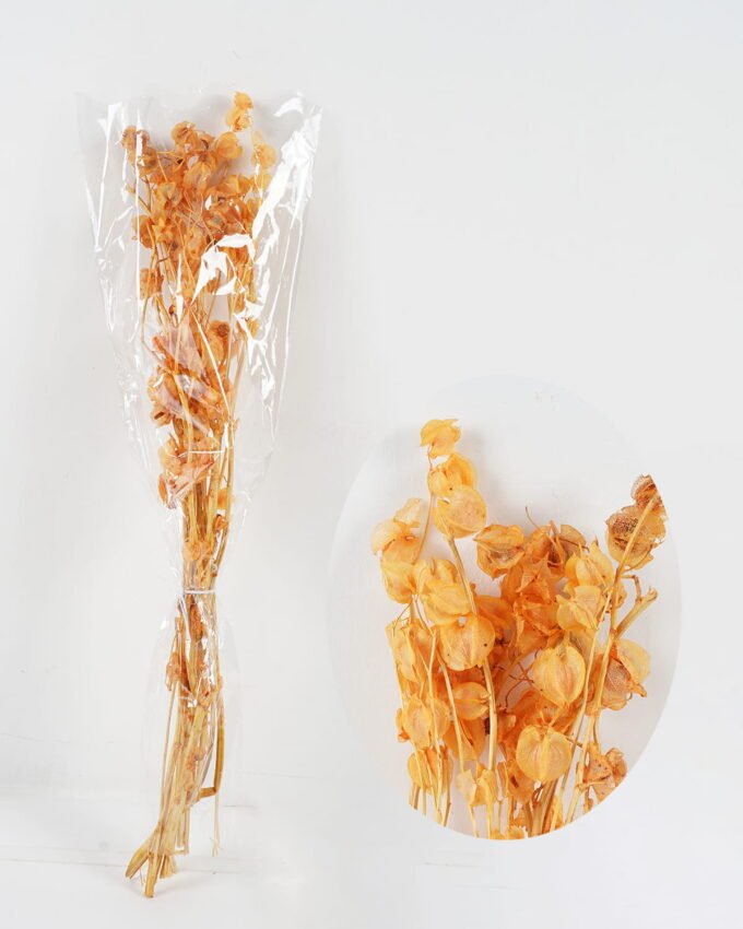 Dried Flowers 13*73cm nature plants bundle GS-56620101-Y2 Bouquet YeahFlower is one of Chinese leading OEM manufacturers and exporters , supplying the silk flowers, wholesale artificial trees