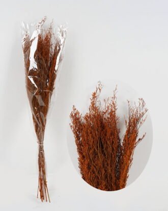 Dried Flowers 17*80cm nature plants bundle GS-56623152 Bouquet YeahFlower is one of Chinese leading OEM manufacturers and exporters , supplying the silk flowers, wholesale artificial trees