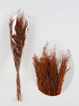 Dried Flowers 18*76cm nature plants *20 bundle GS-56623151 Bouquet 3,000+ sqm showroom with thousands of artificial flowers, plants & trees ready for global sourcing.