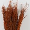 Dried Flowers 17*80cm nature plants bundle GS-56623152 Bouquet YeahFlower is one of Chinese leading OEM manufacturers and exporters , supplying the silk flowers, wholesale artificial trees