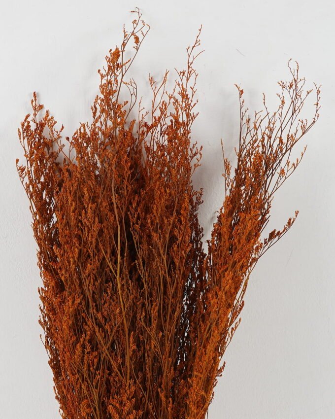 Dried Flowers 17*80cm nature plants bundle GS-56623152 Bouquet YeahFlower is one of Chinese leading OEM manufacturers and exporters , supplying the silk flowers, wholesale artificial trees