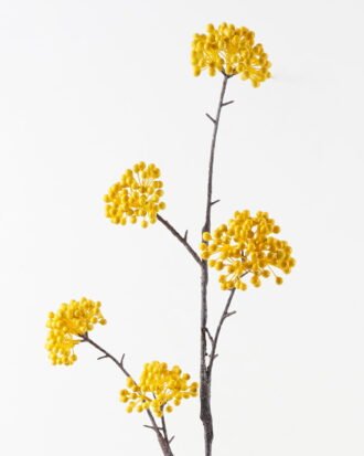 Artificial Branch fruit 22*120cm Fruit *5 single stem GS-57723021-Y1 2024Feb YeahFlower is one of Chinese leading OEM manufacturers and exporters , supplying the silk flowers, wholesale artificial trees