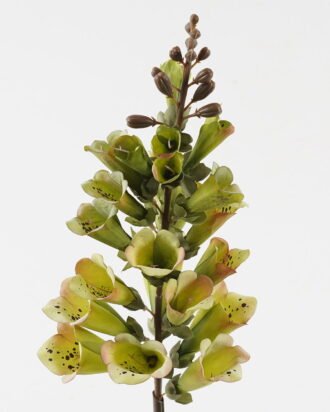 Artificial Flower 12*12*65cm Autumn Foxglove single stem GS-22023001-G1 2024Jan YeahFlower is one of Chinese leading OEM manufacturers and exporters , supplying the silk flowers, wholesale artificial trees