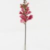Artificial Flower 12*12*65cm Autumn Foxglove single stem GS-22023001-P1 2024Jan YeahFlower is one of Chinese leading OEM manufacturers and exporters , supplying the silk flowers, wholesale artificial trees