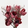 Artificial Flower 26*26*50cm Autumn mangnolia *3 bundle GS-58823032 2024Feb YeahFlower is one of Chinese leading OEM manufacturers and exporters , supplying the silk flowers, wholesale artificial trees