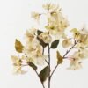 Artificial Flower 20*70CM Bougainvillea spray GS-40720011-W1 2024Jan YeahFlower is one of Chinese leading OEM manufacturers and exporters , supplying the silk flowers, wholesale artificial trees