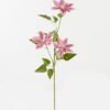 Artificial Flower Clematis 3 single stem 16 lvs GS-64923026-P3_4 Artificial Flower 27*27*80cm Clematis *3 single stem/16 lvs GS-64923026-P3 2024Jan YeahFlower is one of Chinese leading OEM manufacturers and exporters , supplying the silk flowers, wholesale artificial trees