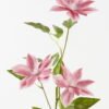 Artificial Flower Clematis 3 single stem 16 lvs GS-64923026-P3_5 Artificial Flower 27*27*80cm Clematis *3 single stem/16 lvs GS-64923026-P3 2024Jan YeahFlower is one of Chinese leading OEM manufacturers and exporters , supplying the silk flowers, wholesale artificial trees