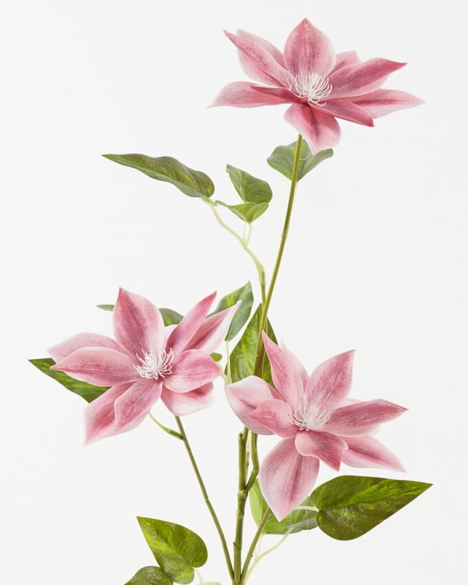 Artificial Flower Clematis 3 single stem 16 lvs GS-64923026-P3_5 Artificial Flower 27*27*80cm Clematis *3 single stem/16 lvs GS-64923026-P3 2024Jan YeahFlower is one of Chinese leading OEM manufacturers and exporters , supplying the silk flowers, wholesale artificial trees