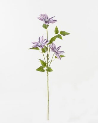 Artificial Flower 27*27*80cm Clematis *3 single stem/16 lvs GS-64923026-Z3 2024Jan YeahFlower is one of Chinese leading OEM manufacturers and exporters , supplying the silk flowers, wholesale artificial trees Artificial Flower 27*27*80cm Clematis *3 single stem/16 lvs GS-64923026-Z3 2024Jan YeahFlower is one of Chinese leading OEM manufacturers and exporters , supplying the silk flowers, wholesale artificial trees