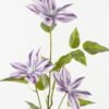 Artificial Flower Clematis 3 single stem 16 lvs GS-64923026-Z3_8 Artificial Flower 27*27*80cm Clematis *3 single stem/16 lvs GS-64923026-Z3 2024Jan YeahFlower is one of Chinese leading OEM manufacturers and exporters , supplying the silk flowers, wholesale artificial trees