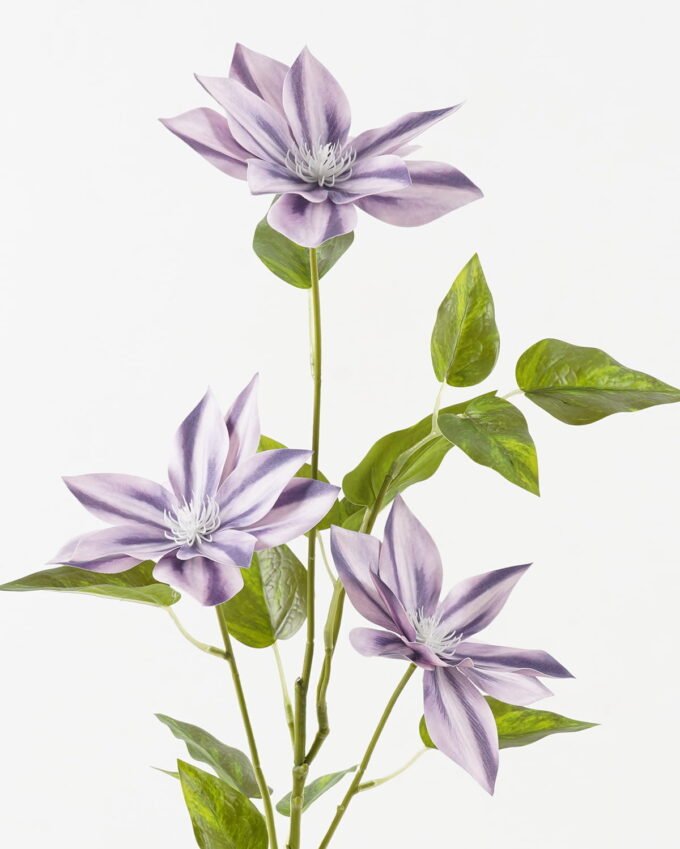 Artificial Flower Clematis 3 single stem 16 lvs GS-64923026-Z3_8 Artificial Flower 27*27*80cm Clematis *3 single stem/16 lvs GS-64923026-Z3 2024Jan YeahFlower is one of Chinese leading OEM manufacturers and exporters , supplying the silk flowers, wholesale artificial trees