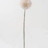 Artificial Flower Dahlia single stem GS-14519053R-W1_6 Artificial Flower 13*13*68cm Dahlia single stem GS-14519053R-W1 2024Feb YeahFlower is one of Chinese leading OEM manufacturers and exporters , supplying the silk flowers, wholesale artificial trees