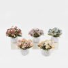 Artificial Flower Daisy in Cement pot GS-03323166_1 Artificial Flower 21*21*19cm Daisy in Cement pot GS-03323166 2024Jan YeahFlower is one of Chinese leading OEM manufacturers and exporters , supplying the silk flowers, wholesale artificial trees
