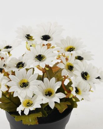 Artificial Flower 18*18*20cm Daisy in PP pot GS-03323141 2024Jan YeahFlower is one of Chinese leading OEM manufacturers and exporters , supplying the silk flowers, wholesale artificial trees