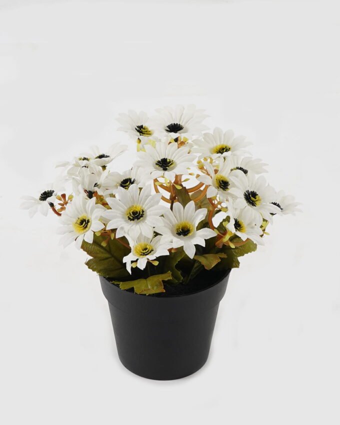Artificial Flower 18*18*20cm Daisy in PP pot GS-03323141 2024Jan YeahFlower is one of Chinese leading OEM manufacturers and exporters , supplying the silk flowers, wholesale artificial trees