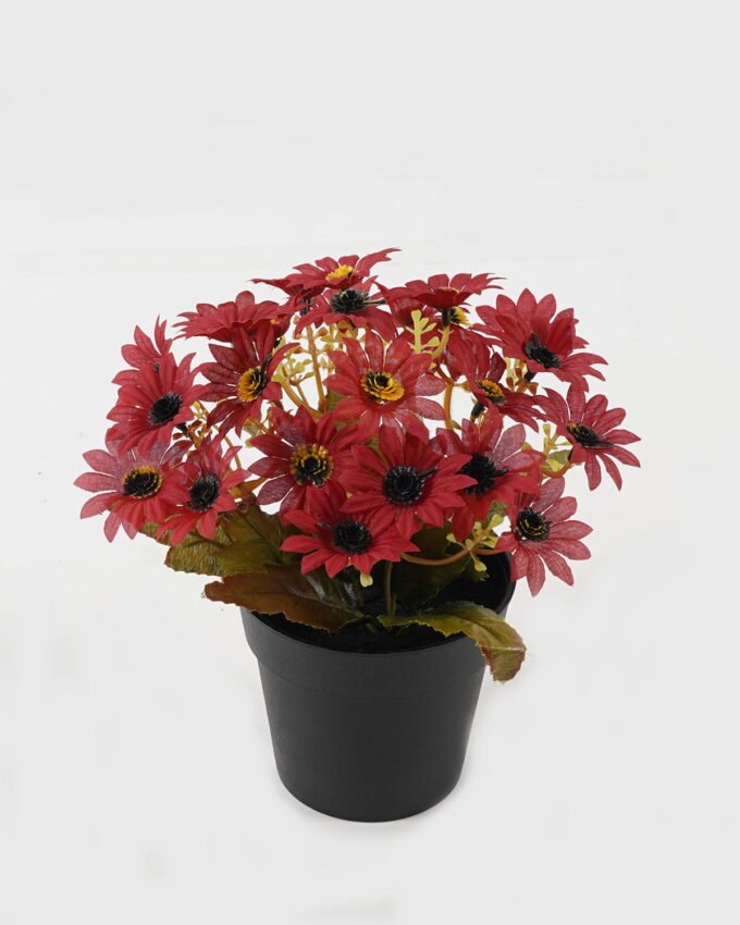 Artificial Flower 18*18*20cm Daisy in PP pot GS-03323141 2024Jan YeahFlower is one of Chinese leading OEM manufacturers and exporters , supplying the silk flowers, wholesale artificial trees