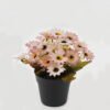 Artificial Flower 18*18*20cm Daisy in PP pot GS-03323141 2024Jan YeahFlower is one of Chinese leading OEM manufacturers and exporters , supplying the silk flowers, wholesale artificial trees