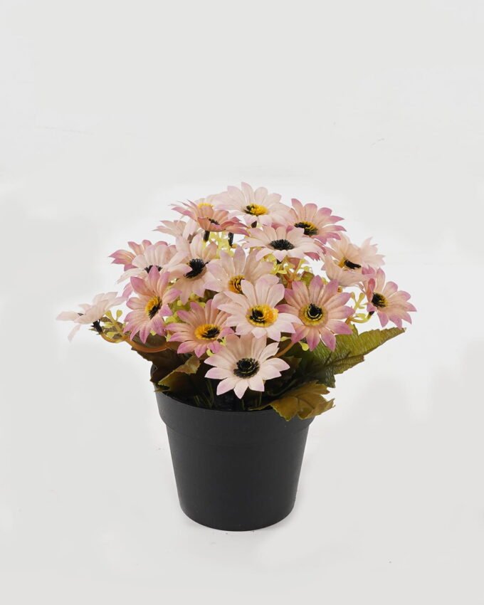 Artificial Flower 18*18*20cm Daisy in PP pot GS-03323141 2024Jan YeahFlower is one of Chinese leading OEM manufacturers and exporters , supplying the silk flowers, wholesale artificial trees