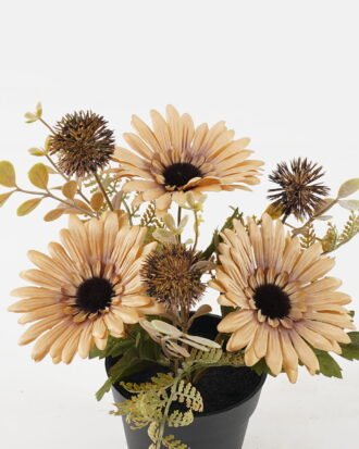 Artificial Flower 22*22*25cm Daisy in PP pot GS-03323142 2024Jan YeahFlower is one of Chinese leading OEM manufacturers and exporters , supplying the silk flowers, wholesale artificial trees