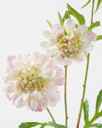 Artificial Flower 21*17*65cm Flower *3 single stem GS-39123011R-P1 2024Jan YeahFlower is one of Chinese leading OEM manufacturers and exporters , supplying the silk flowers, wholesale artificial trees Artificial Flower 21*17*65cm Flower *3 single stem GS-39123011R-P1 2024Jan YeahFlower is one of Chinese leading OEM manufacturers and exporters , supplying the silk flowers, wholesale artificial trees