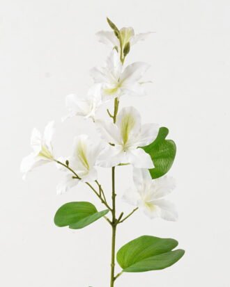 Artificial Flower 19*19*87cm Flower *8 single stem/4 lvs GS-64923027-W3 2024Jan YeahFlower is one of Chinese leading OEM manufacturers and exporters , supplying the silk flowers, wholesale artificial trees Artificial Flower 19*19*87cm Flower *8 single stem/4 lvs GS-64923027-W3 2024Jan YeahFlower is one of Chinese leading OEM manufacturers and exporters , supplying the silk flowers, wholesale artificial trees