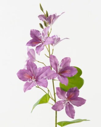 Artificial Flower 19*19*87cm Flower *8 single stem/4 lvs GS-64923027-Z1 2024Jan YeahFlower is one of Chinese leading OEM manufacturers and exporters , supplying the silk flowers, wholesale artificial trees Artificial Flower 19*19*87cm Flower *8 single stem/4 lvs GS-64923027-Z1 2024Jan YeahFlower is one of Chinese leading OEM manufacturers and exporters , supplying the silk flowers, wholesale artificial trees