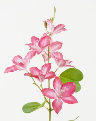 Artificial Flower 19*19*87cm Flower *8 single stem/4 lvs GS-64923027 2024Jan YeahFlower is one of Chinese leading OEM manufacturers and exporters , supplying the silk flowers, wholesale artificial trees Artificial Flower 19*19*87cm Flower *8 single stem/4 lvs GS-64923027 2024Jan YeahFlower is one of Chinese leading OEM manufacturers and exporters , supplying the silk flowers, wholesale artificial trees