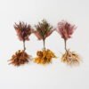 Artificial Flower 23*23*36cm Kelp bush GS-27923069 Flowers Bush 3,000+ sqm showroom with thousands of artificial flowers, plants & trees ready for global sourcing.