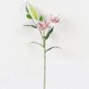Artificial Flower Lily 3 single stem 8 lvs GS-64923028-W1_2 Artificial Flower 29*29*75cm Lily *3 single stem/8 lvs GS-64923028-W1 2024Jan YeahFlower is one of Chinese leading OEM manufacturers and exporters , supplying the silk flowers, wholesale artificial trees