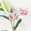 Artificial Flower Lily 3 single stem 8 lvs GS-64923028-W1_4 Artificial Flower 29*29*75cm Lily *3 single stem/8 lvs GS-64923028-W1 2024Jan YeahFlower is one of Chinese leading OEM manufacturers and exporters , supplying the silk flowers, wholesale artificial trees
