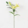 Artificial Flower Lily 3 single stem 8 lvs GS-64923028_5 Artificial Flower 29*29*75cm Lily *3 single stem/8 lvs GS-64923028 2024Jan YeahFlower is one of Chinese leading OEM manufacturers and exporters , supplying the silk flowers, wholesale artificial trees