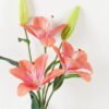 Artificial Flower 28*28*88cm Lily *5 single stem/10 lvs GS-64923029 2024Jan YeahFlower is one of Chinese leading OEM manufacturers and exporters , supplying the silk flowers, wholesale artificial trees