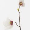 Artificial Flower 33*87CM Mangnolia Spray*2 GVC-20-2720A 2024Jan YeahFlower is one of Chinese leading OEM manufacturers and exporters , supplying the silk flowers, wholesale artificial trees