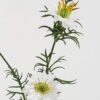 Artificial Flower 9*9*68cm Nigella sativa *3 single stem GVC-23-2961A-W1 2024Jan YeahFlower is one of Chinese leading OEM manufacturers and exporters , supplying the silk flowers, wholesale artificial trees