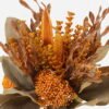 Artificial Flower 25*25*34cm Okra kelp bush GS-27923063-Y1 Flowers Bush 3,000+ sqm showroom with thousands of artificial flowers, plants & trees ready for global sourcing.