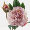 Artificial Flower 18*18*47cm Peony *2 single stem GS-48723020-P2 2024Feb YeahFlower is one of Chinese leading OEM manufacturers and exporters , supplying the silk flowers, wholesale artificial trees