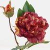 Artificial Flower Peony 2 single stem GS-48723020-R1_8 Artificial Flower 18*18*47cm Peony *2 single stem GS-48723020-R1 2024Jan YeahFlower is one of Chinese leading OEM manufacturers and exporters , supplying the silk flowers, wholesale artificial trees