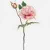 Artificial Flower 18*18*47cm Peony *2 single stem GS-48723020 2024Jan YeahFlower is one of Chinese leading OEM manufacturers and exporters , supplying the silk flowers, wholesale artificial trees