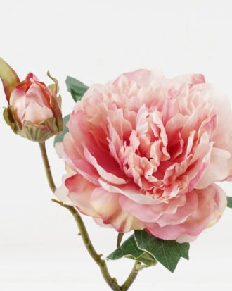 Artificial Flower 20*20*47cm Peony *2 single stem GS-48723029-P1 2024Jan YeahFlower is one of Chinese leading OEM manufacturers and exporters , supplying the silk flowers, wholesale artificial trees Artificial Flower 20*20*47cm Peony *2 single stem GS-48723029-P1 2024Jan YeahFlower is one of Chinese leading OEM manufacturers and exporters , supplying the silk flowers, wholesale artificial trees