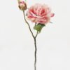 Artificial Flower Peony 2 single stem GS-48723029-P1_5 Artificial Flower 20*20*47cm Peony *2 single stem GS-48723029-P1 2024Jan YeahFlower is one of Chinese leading OEM manufacturers and exporters , supplying the silk flowers, wholesale artificial trees