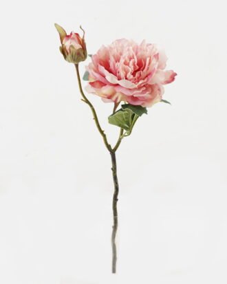 Artificial Flower 20*20*47cm Peony *2 single stem GS-48723029-P1 2024Jan YeahFlower is one of Chinese leading OEM manufacturers and exporters , supplying the silk flowers, wholesale artificial trees Artificial Flower 20*20*47cm Peony *2 single stem GS-48723029-P1 2024Jan YeahFlower is one of Chinese leading OEM manufacturers and exporters , supplying the silk flowers, wholesale artificial trees